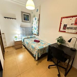 Alojamiento Nuevo Balmes